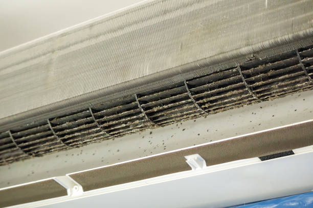 Best Air Duct Cleaning Near Me  in Briar, TX